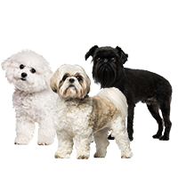 Miniature Breeds Dog Food