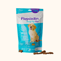 VETOQUINOL Flexadin Young Dog Maxi 60bites