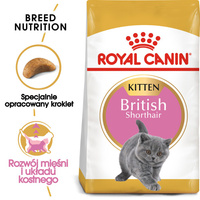 ROYAL CANIN British Shorthair Kitten 2kg dry food for kittens, up to 12 months, British Shorthair breed