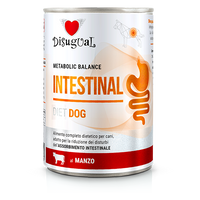 Disugual Wet dog food Veterinary INTESTINAL Beef (adult) 400g