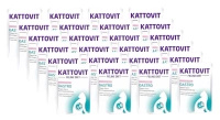 NO PORK Kattovit Gastro Salmon 24x85g