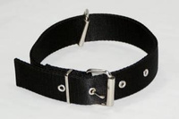 Dingo Dog Leash Collar with Loose Fastening Black 55cm