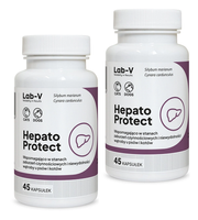 Lab-v Hepato Protect – Liver support for dogs and cats 2x45 capsules