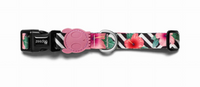 ZEE DOG Mahalo M dog collar