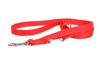 DogStuffs Adjustable Leash Red 25mm/220cm