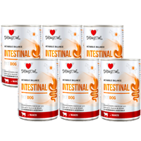 Disugual Wet dog food Veterinary INTESTINAL Beef (adult) 6x400g