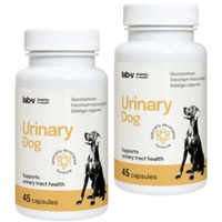 Lab-v Urinary Dog – Support for urinary tract infections in dogs 2x45 capsules