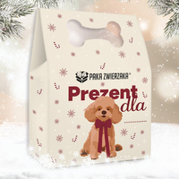 Paka Zwierzaka Christmas BOX for dogs