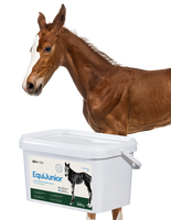 Lab-v EquiJunior Complementary feed mixture for foals, supporting growth, development, and proper nutrition of young horses and ponies 2000g
