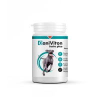 Vetoquinol Caniviton Forte Plus 90pcs