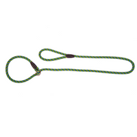 Dingo Ring Dog Leash Magic Green-Blue 170cm