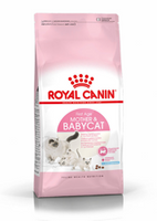 ROYAL CANIN Mother &amp; Babycat 2kg