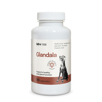 Lab-v Glandala - Supports the proper functioning of the anal glands and digestive tract in dogs 90 capsules