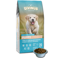 Divinus Puppy 20 kg