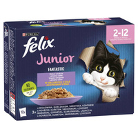 no pork Felix Fantastic Junior Jelly 12x85g