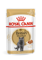 ROYAL CANIN British Shorthair Adult 12x85g