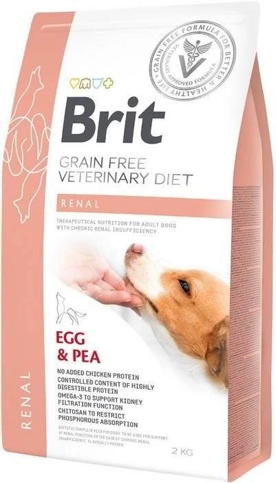 No grain diet for dogs best sale