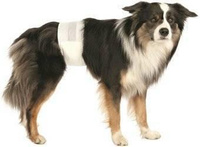 Trixie Diapers for Dogs S-M 12pcs