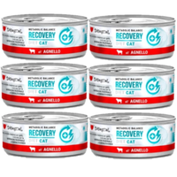 Disugual Wet Cat Food Veterinary RECOVERY Lamb (adult) 6x85g