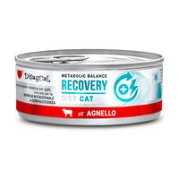 Disugual Wet Cat Food Veterinary RECOVERY Lamb (adult) 85g