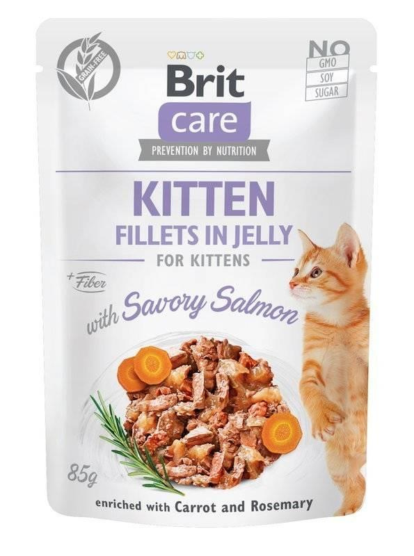 Brit best sale cat food