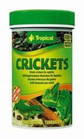 Tropical Crickets 250ml