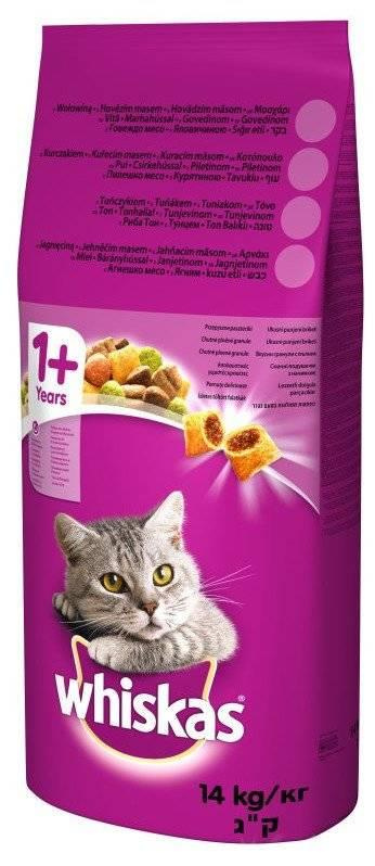 Whiskas beef deals dry food