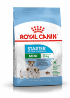 no pork ROYAL CANIN Mini Starter 1kg