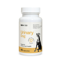 Lab-v Urinary Dog – Support for urinary tract infections in dogs 45 capsules