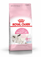no pork ROYAL CANIN Mother & Babycat 4kg