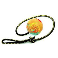 Dingo Fetch Ball with String Size M