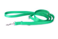 DogStuffs Adjustable Leash Green 20mm/220cm