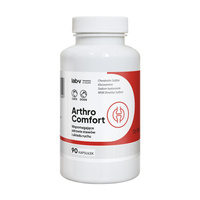 Lab-v Arthro Comfort – Comprehensive support for joint and musculoskeletal health in dogs and cats 90 capsules