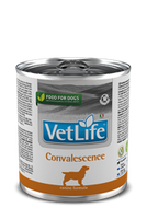 NO PORK Farmina Vet Life Canine Convalescence 300g