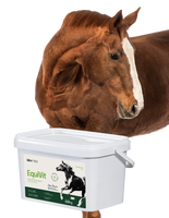 Lab-v EquiVit Dietary feed mix for horses and ponies supporting immunity, the skeletal and joint system, and proper metabolism 2000 g