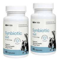 Lab-v Synbiotic Vet – Supports digestive health and intestinal microflora in dogs and cats 2x45 capsules