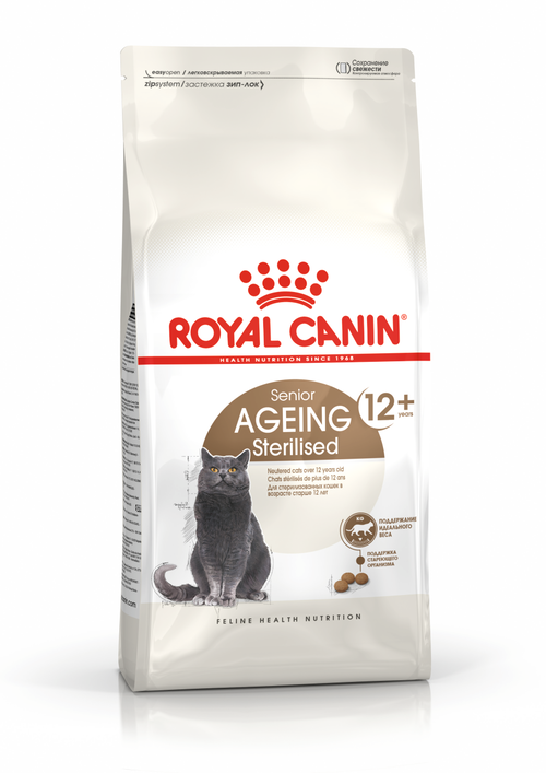 Royal canin norwegian sales forest cat 10kg